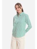 Green color option, Currently selected