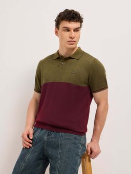 The Bear House - Men Multi-Color Colorblock Polo T-shirt
