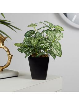 HomeTown - Ilana Faux Hypoestes Ceramic Potted Plant 19 Cm in Green Colour