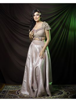 Payal Dawar - Bold Butterfly Embroidered Blouse and Lehenga (Set of 2)