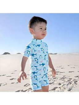 Baby Moo - Playing Dolphin Beach Bodysuit One-Piece Swimsuit Pool Swimming Costume - Blue