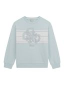 Blue color option, Currently selected