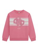 Pink color option, Currently selected