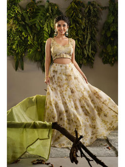 Ruhm - Eco-Printed Heritage Lehenga with Top & Woven Dupatta with Nature Hues (Set of 3)