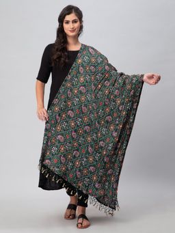 Aditi Wasan - Green Printed Silk Blend Dupatta