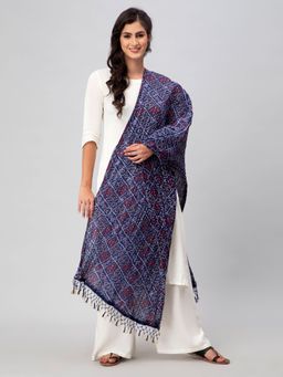 Aditi Wasan - Blue Printed Silk Blend Dupatta