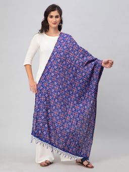 Aditi Wasan - Blue Printed Silk Blend Dupatta