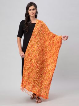 Aditi Wasan - Orange Printed Silk Blend Dupatta