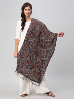 Aditi Wasan - Black Printed Silk Blend Dupatta