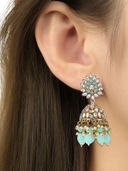 Turquoise color option, Currently selected