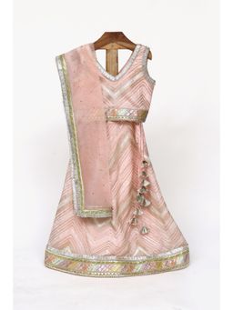 MiniMe Organics - Pink Choli With Lehenga & Dupatta (Set of 3)