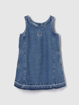 GAP - Girls Blue Round Neck A-Line Dress