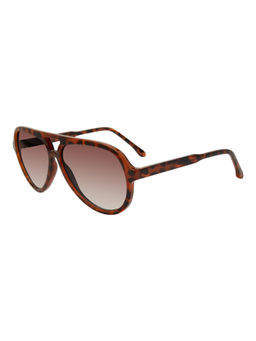 Steve Madden - Outlook Brown Unisex Stylised Sunglasses (SM1)