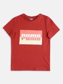 Red color option, Sold out