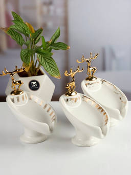 Kookee - White Ceramic Soap Holder Dish with Scrub (Pack of 3)