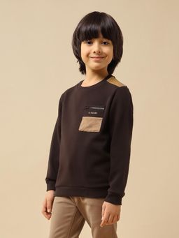 U.S. POLO ASSN. - Brown Boys Solid Regular Fit Sweatshirt
