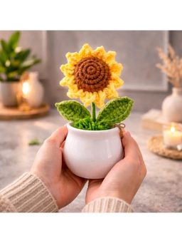 NFI Essentials - Crochet Bouquet In Decorative Pink Pot