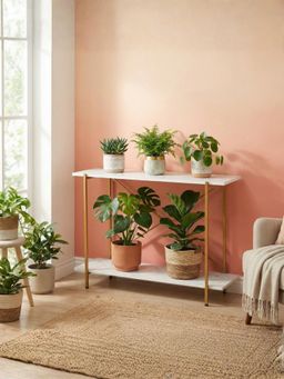 Ecofynd - Jr Elix 2-Tier Dual Tone Metal Plant Stand (White & Gold)