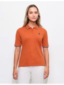 Orange color option, Currently selected