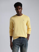 Yellow color option, Currently selected