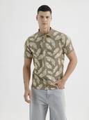 Olive color option, Currently selected
