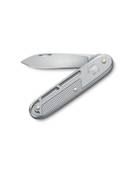 Silver color option, Currently selected