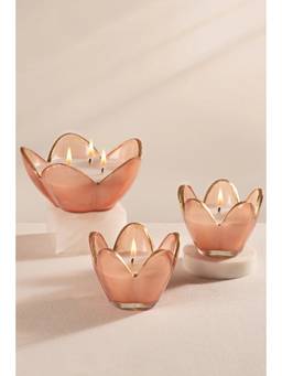 DOFT - English Rose Scented Pink Eternal Bloom Candles (Pack of 3)