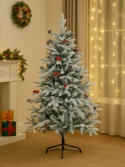 Little Surprise Box - Green Snow Cherry Long Flat Leaf Dense Christmas Tree