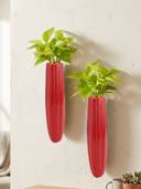 Red color option, Sold out