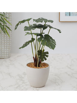 HomeTown - Ilana Faux Philodendron Ceramic Potted Plant 42 Cm in Green Colour