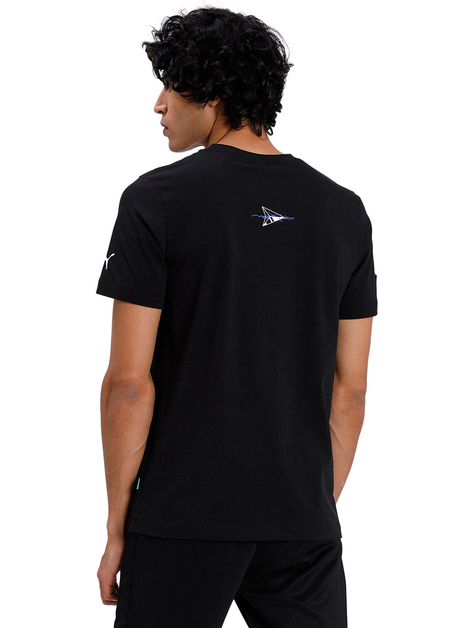 Buy Puma Men's Mercedes-AMG Petronas 
