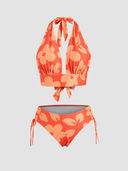 Orange color option, Currently selected