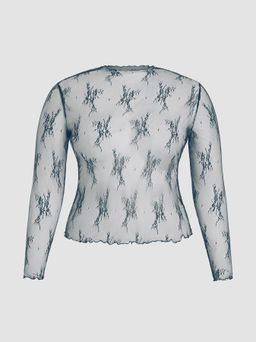 Cider - Lace Long Sleeve Top Curve & Plus