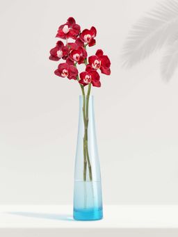 NATURALLY YOURS - Light Blue Glasswares Vase ( Set of 2 )