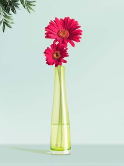 NATURALLY YOURS - Green Glasswares Vase ( Set of 2 )