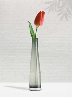 NATURALLY YOURS - Grey Glasswares Vase ( Set of 2 )