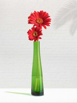 NATURALLY YOURS - Green Glass Vase for Home ( Set of 2 )