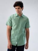 Green color option, Currently selected