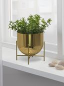 Gold color option, Currently selected