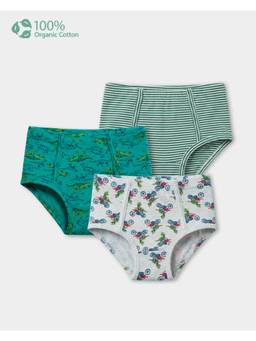 Carter's - Boy Multi-Color Cotton Brief (Pack Of 3)