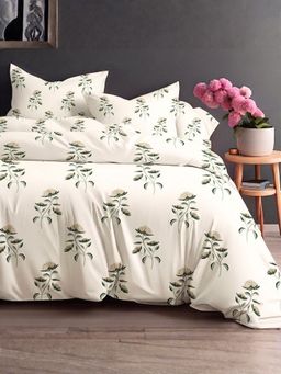 the White Moss - Sage Green Pure Cotton 220Tc Bedsheet With 2 Pillow Covers (Queen)
