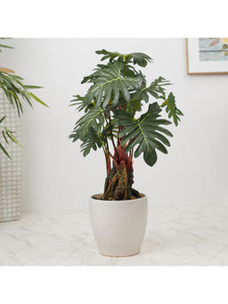 HomeTown - Ilana Faux Philodendron Ceramic Potted Plant 56 Cm in Green Colour