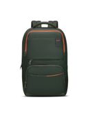 Green color option, Currently selected