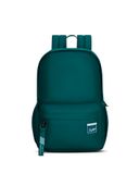 Green color option, Currently selected