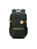 Green color option, Currently selected