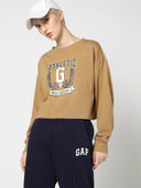 Brown color option, Currently selected