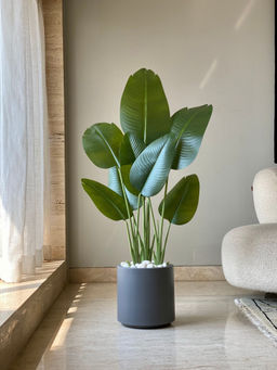 Mason Home - Dark Grey Oasis Planters