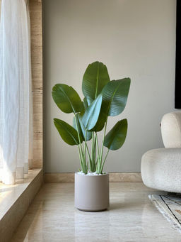 Mason Home - Beige Oasis Planters