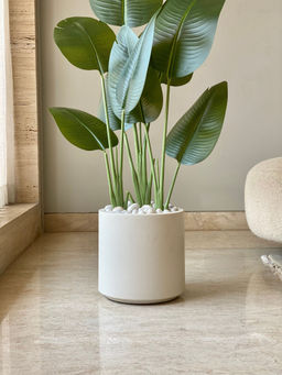 Mason Home - Off White Oasis Planters