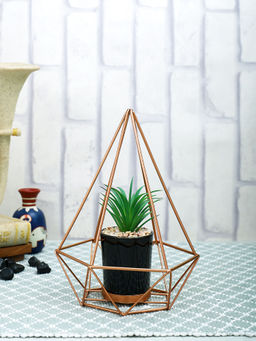 Tayhaa - Black Succulent Artificial Plant with Pot